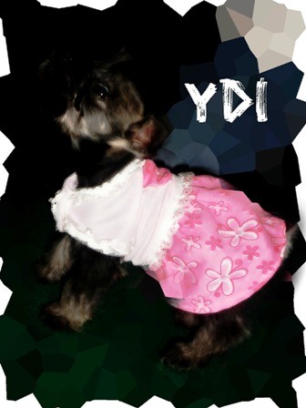 mi bb con su primer vestido la amooooooo!!!