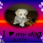 Rusty