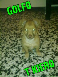 golfo