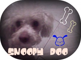 Snoopy Doo