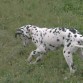 Mi nena jugando en el parque