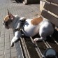 tomando el sol...cm le gusta..jajaja