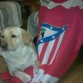 Atleti siempre.