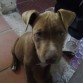 tayson 3 meses