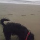 Mi Jaz en la playita!!