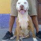 THOR - 8 MESES