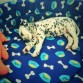 A dormir pongo