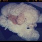 Mi bebe dormida arriba de su peluche favorito. La amo!