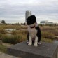 Tarde en el parque del agua, 3 meses