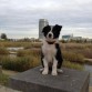 Tarde en el parque del agua, 3 meses