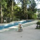 Mi boby precioso en un hotel canino :D 