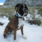 Foto tomada en el Puig de Galatzó en la gran nevada de febrero de 2012 (Mallorca) Disfrutó de la nieve tanto como del mar ;)