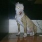 THOR - 7 MESES