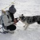 Trayendo trozos de nieve como si fuesen juguetes para que me los lancen :D