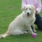 Jugando a la pelota en el parque