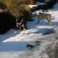 Jack y Nella en el volcan