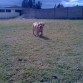 En una cancha de futbol