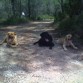 Un día en la montaña con su primos...