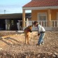 mira mi hijo....esta hecho todo un agricultor...hay que ver!!!!!!!!!!!!!!