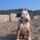 Su primer dia en la playa