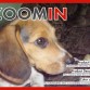 Protagonista de Revista Zoomin