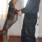 Bailando y silvando... :D