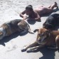 en la playa tomando sol con amigosss