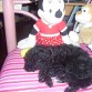 Con Minnie !