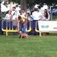 Prada durante su primera exposición canina donde saliu elegida ganadora de cachorros