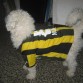 HINCHA DE PEÑAROL A MUERTE!!!!.
SI SERA HINCHA QUE CUANDO NO TIENE LA CAMISETA PUSETA LA VA A BUSCAR Y ME LA TRAE PARA Q SE LA PONGA JEJEJ INCREIBLE.