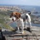 en Cala Reona, de fondo Cabo de Palos