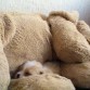 Durmiendo en su peluche