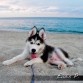 Le gusta Correr por la playa en las tardes