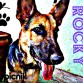 rocky es  muy jugueton caza pajaros tienes como 8 meses y es muy bonito y comelonn

xxxdd¡¡¡