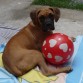 mi pequeña bebe descansando del juego de pelota que tuvo con mi princesa jijijijijiji.