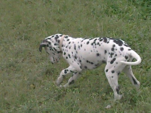 Mi nena jugando en el parque