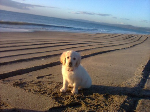 En su primer día de playa mi chanchita :)