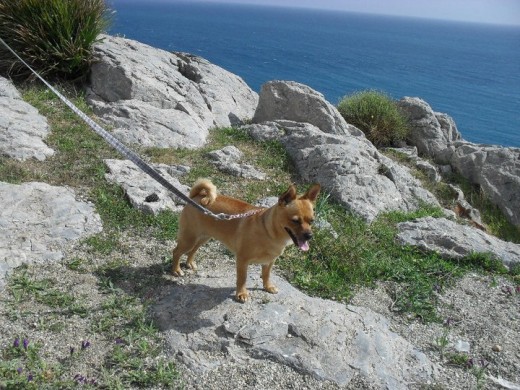 En la playa (2012)