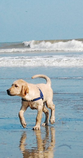 Viaje a la playa cuando Phil tenía tres meses