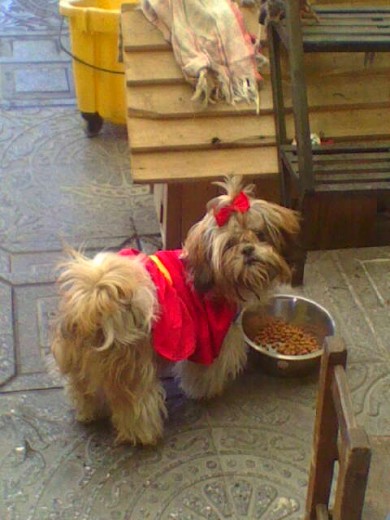 ella esta comiendo y trae un traje de super chica