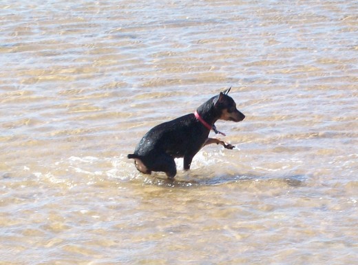 me encanta mucho que me lleven a la playa yupi...