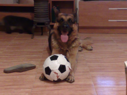 blade con una pelota, poco le duro, jeje
