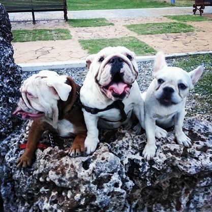 Frida, Su abuela y Padme 