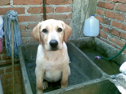 recien bañadita
jejeje....
