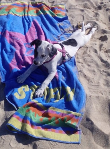 eva en la playa