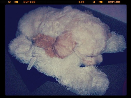 Mi bebe dormida arriba de su peluche favorito. La amo!