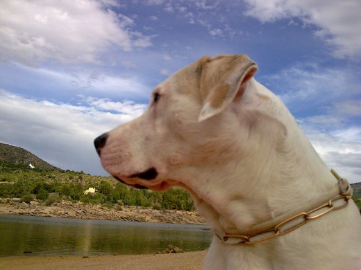 marlo en el pantano del burguillo