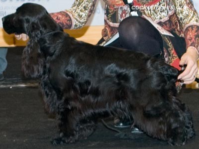 tango en la exposicion internacional de Granada.