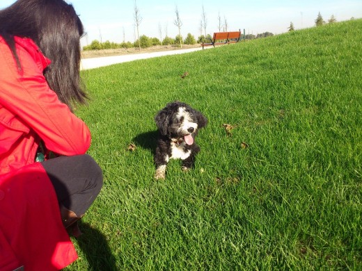 Tomando el solecito 