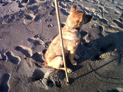 En la playita